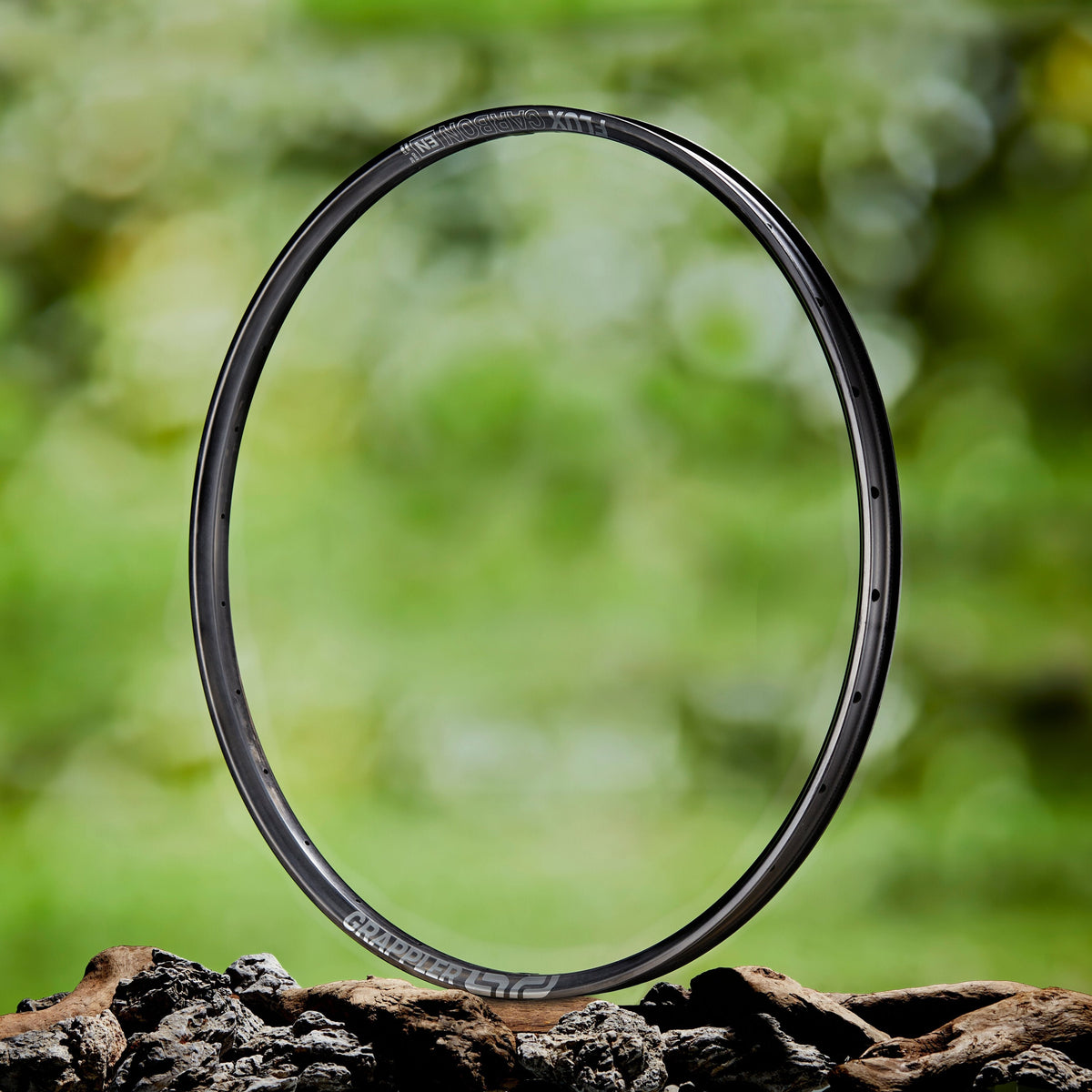 Flux Rims