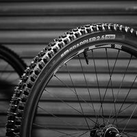 Tires & Tubeless