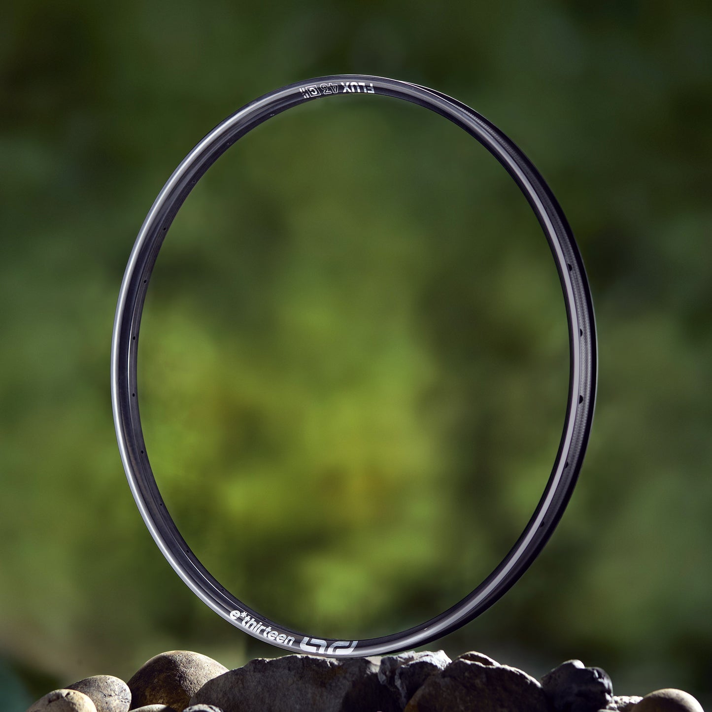 Flux Pro 43 Trail Carbon Mountain Bike Rim e*thirteen UK