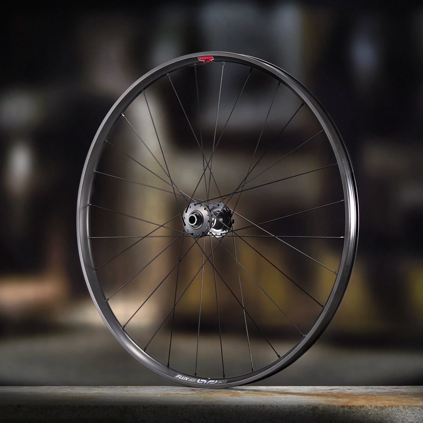 Sylvan Sidekick Flux Aluminum All Mountain Front MTB Wheel e*thirteen UK