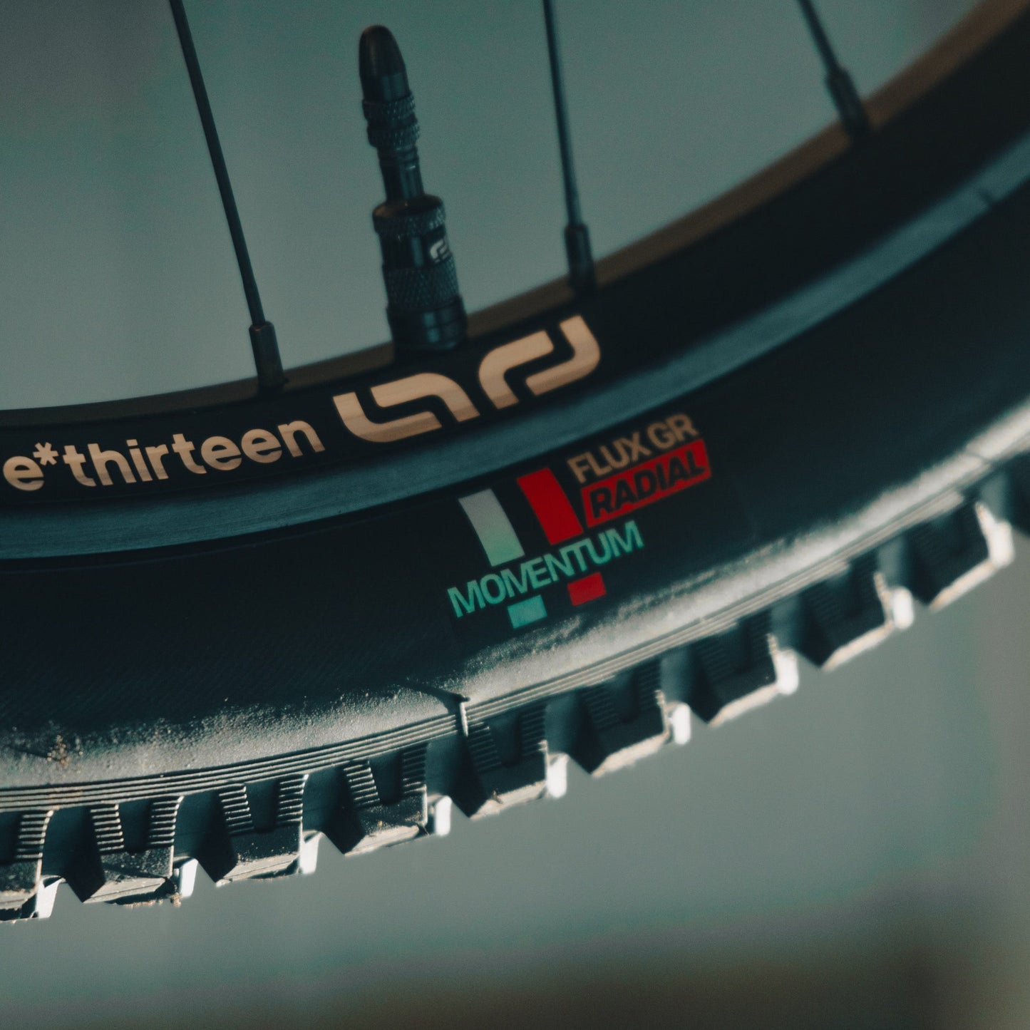 Grappler Radial MTB Tire e*thirteen UK