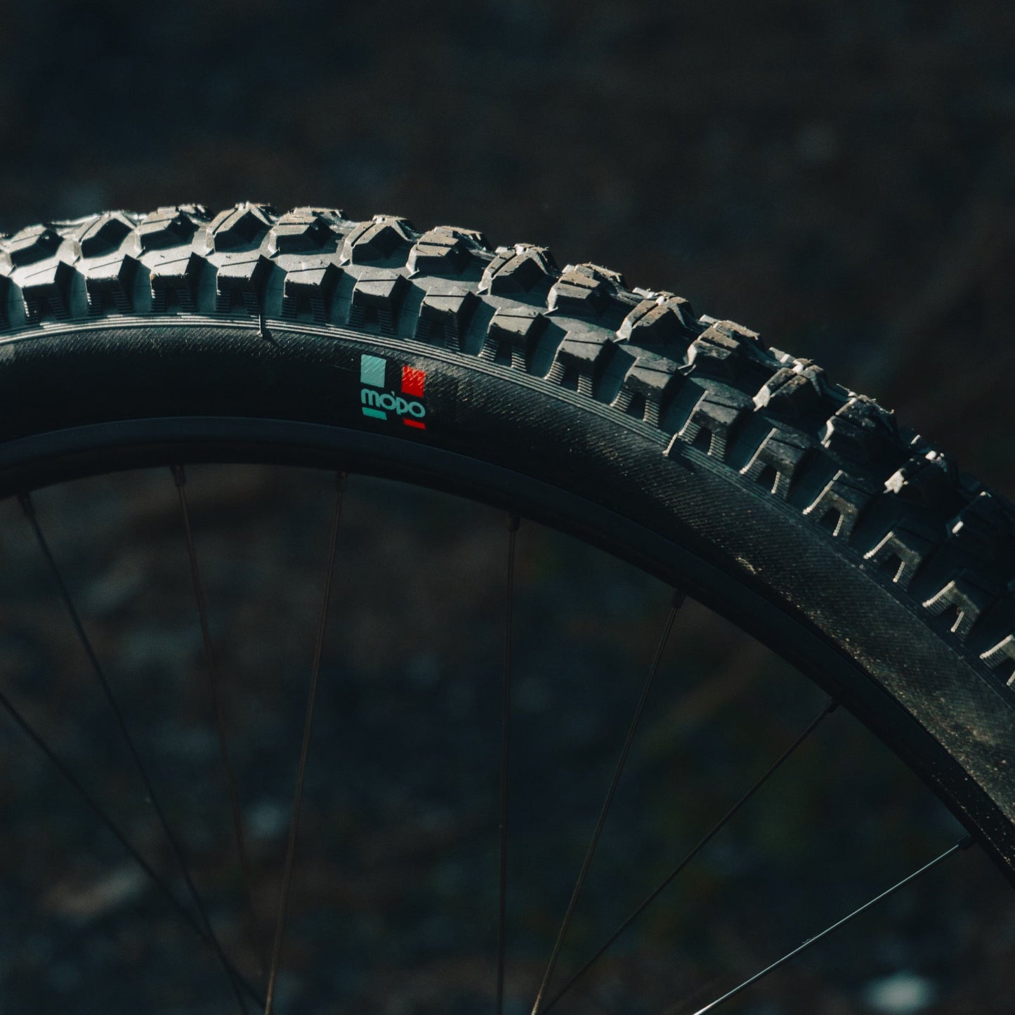 Grappler RS Rear MTB Tire e*thirteen UK