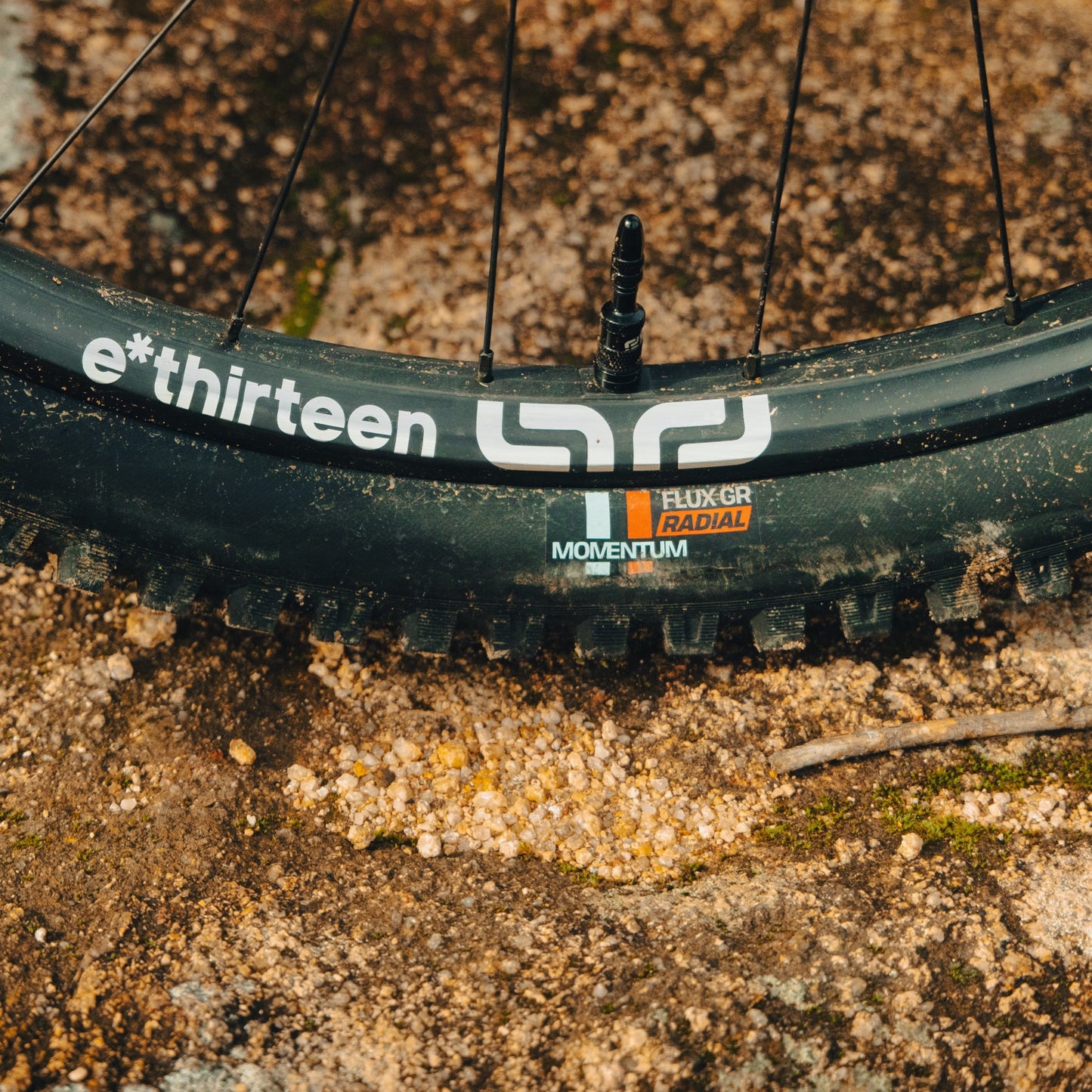 Grappler RS Rear Radial MTB Tire e*thirteen UK