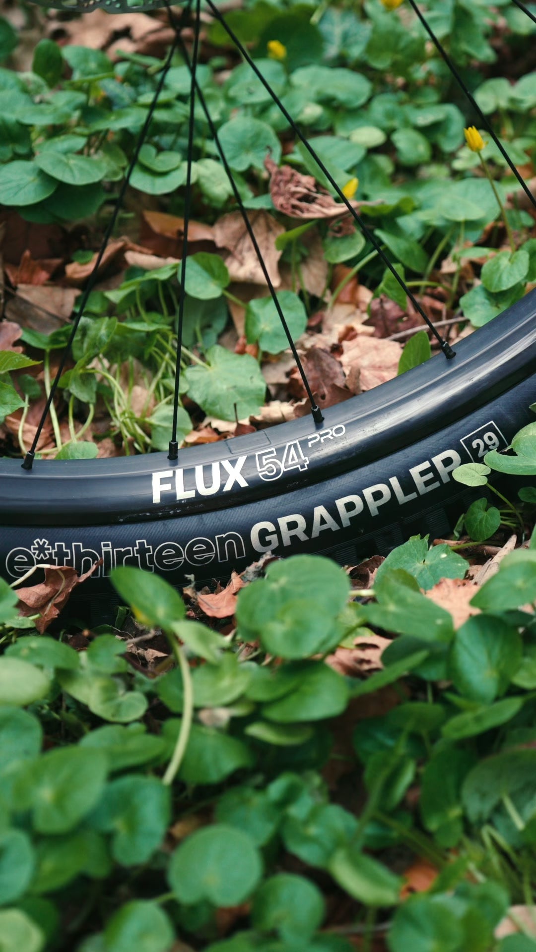 Close up of a Flux 54 Pro carbon rim and a Grappler tire on Jasper Jauche's Nomad