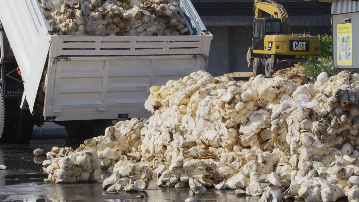 Cup lump rubber tipped from a truck onto the yard at V Rubber. Still from Freehub Magazine's film Made With Love.
