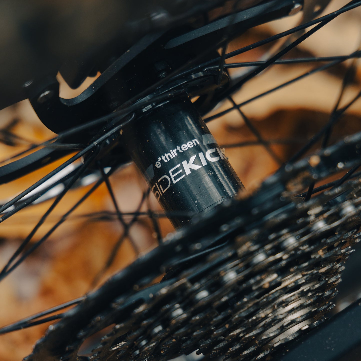 Sidekick Rear MTB Hub e*thirteen UK
